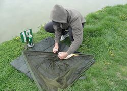 Floarea Popestiului 20 - 20 apr.